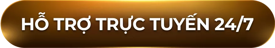hỗ trợ trực tuyến