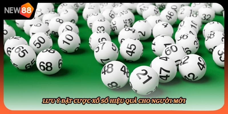 Lưu ý đặt cược xổ số hiệu quả cho người mới